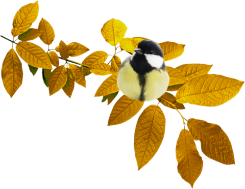 őszi állatok_56.png